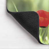 Eine Mohnmalerei künstlerischer Wildblume Mousepad (Ecke)