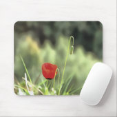 Eine Mohnmalerei künstlerischer Wildblume Mousepad (Mit Mouse)