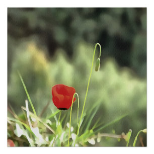 Eine Mohnmalerei künstlerischer Wildblume Poster