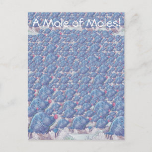 Eine Mole von Molen Cartoon Avogadro Konstante Postkarte