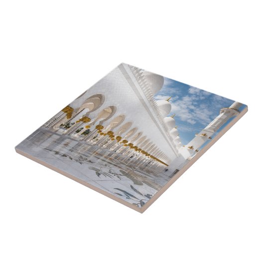 Eine Moschee in Abu Dhabi Fliese (Seite)