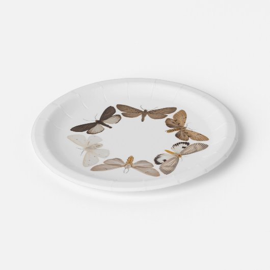 Eine Mottenplatte Pappteller (Schrägansicht)