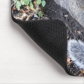 Eine Mousepad-Mousepad mit einem grauen Eichhörnch Mousepad (Ecke)