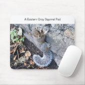 Eine Mousepad-Mousepad mit einem grauen Eichhörnch Mousepad (Mit Mouse)
