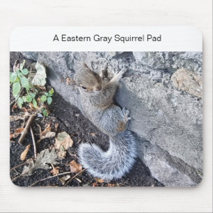 Eine Mousepad-Mousepad mit einem grauen Eichhörnch Mousepad