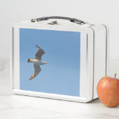 Eine Möwe in den Lunchboxen (Beispiel)