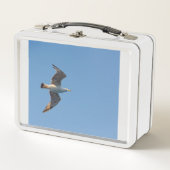 Eine Möwe in den Lunchboxen (Vorderseite)