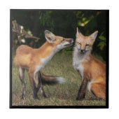 Eine Münze got? Fliese (Vorderseite)