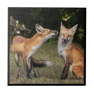 Eine Münze got? Fliese