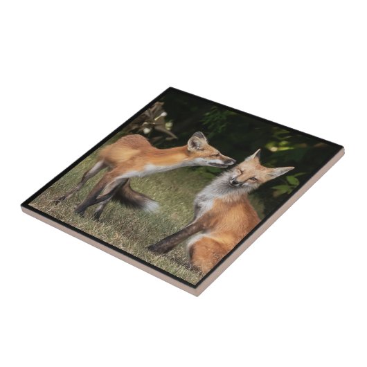 Eine Münze got? Fliese (Seite)