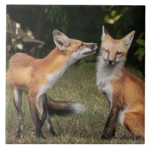 Eine Münze got? Fliese