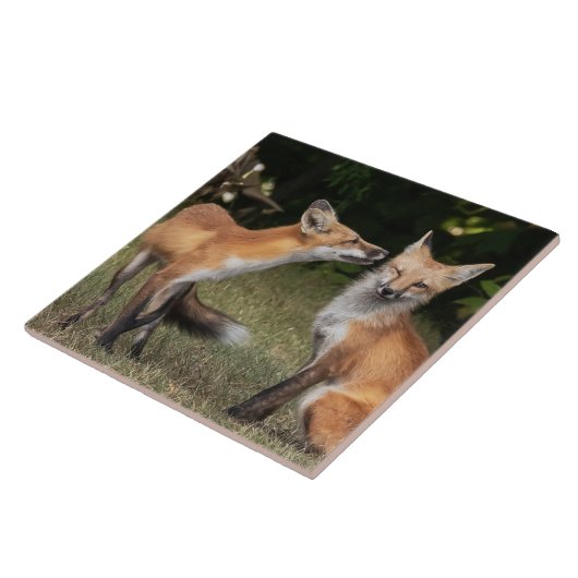 Eine Münze got? Fliese (Seite)