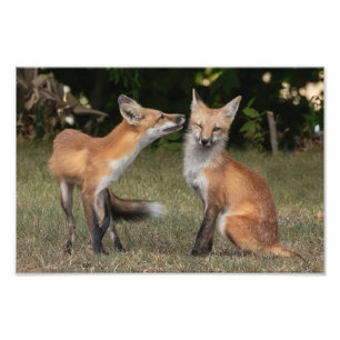 Eine Münze got? Fotodruck