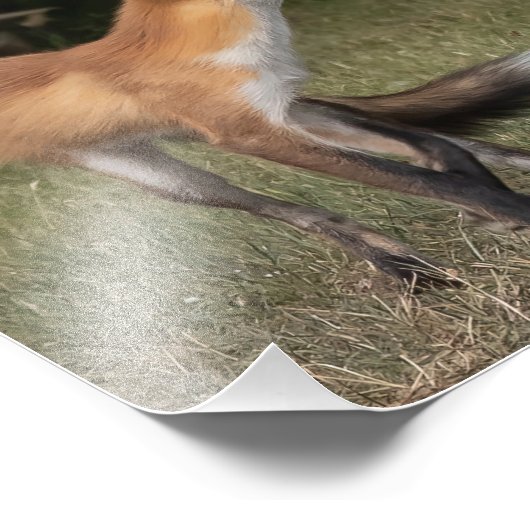 Eine Münze got? Fotodruck (Ecke)