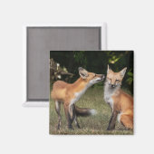 Eine Münze got? Magnet (Vorderseite/Rückseite)