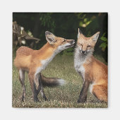 Eine Münze got? Magnet (Vorne)