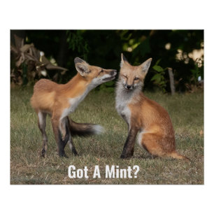 Eine Münze got? Poster