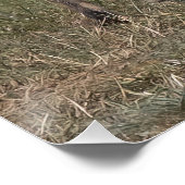 Eine Münze got? Poster (Ecke)