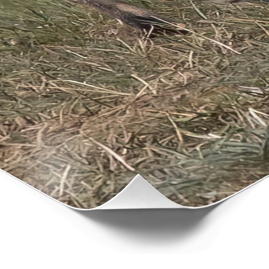 Eine Münze got? Poster (Ecke)