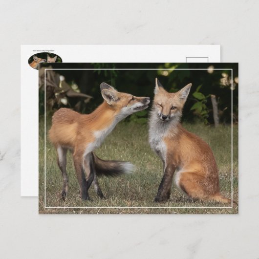 Eine Münze got? Postkarte (Vorne/Hinten)