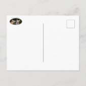 Eine Münze got? Postkarte (Rückseite)