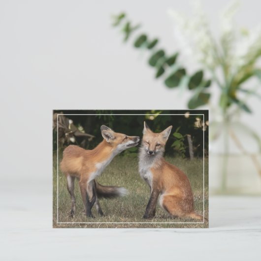 Eine Münze got? Postkarte (Stehend Vorderseite)