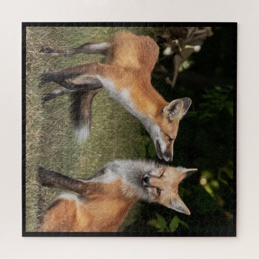 Eine Münze got? Puzzle (Horizontal)