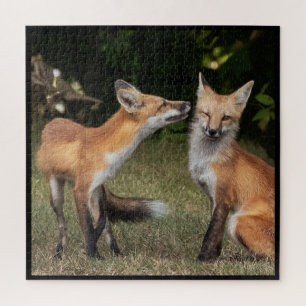 Eine Münze got? Puzzle