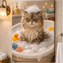 Eine mürrische Katze in einem sprudelnden Bad