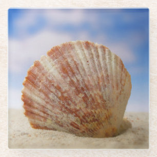 Eine Muschel Propped im Sand Glasuntersetzer