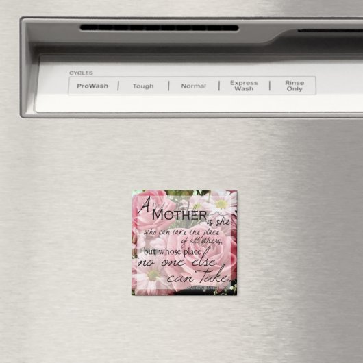 Eine Mutter ist Square Magnet (In Situ (Geschirrspüler))