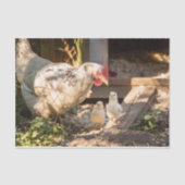 Eine Mutter mit ihren Hühnern Seidenpapier (Vorderseite)