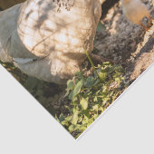 Eine Mutter mit ihren Hühnern Seidenpapier (Ausschnitt)