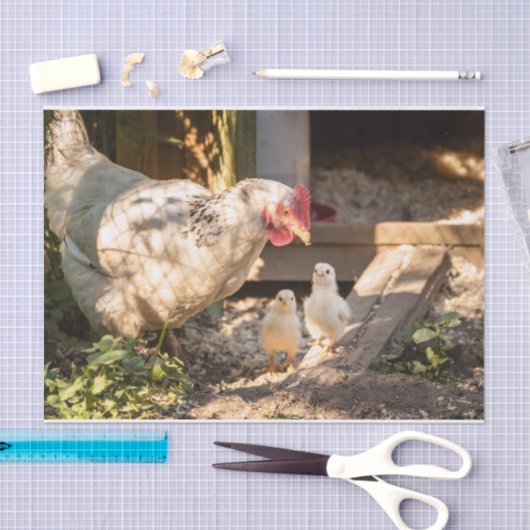 Eine Mutter mit ihren Hühnern Seidenpapier (Handwerk)