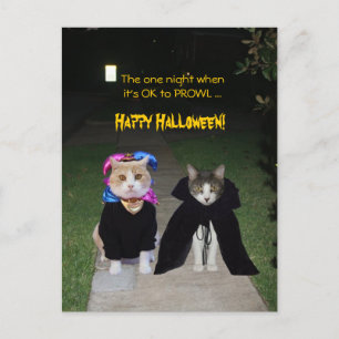 Eine Nacht ist es OK, PROWL Postkarte