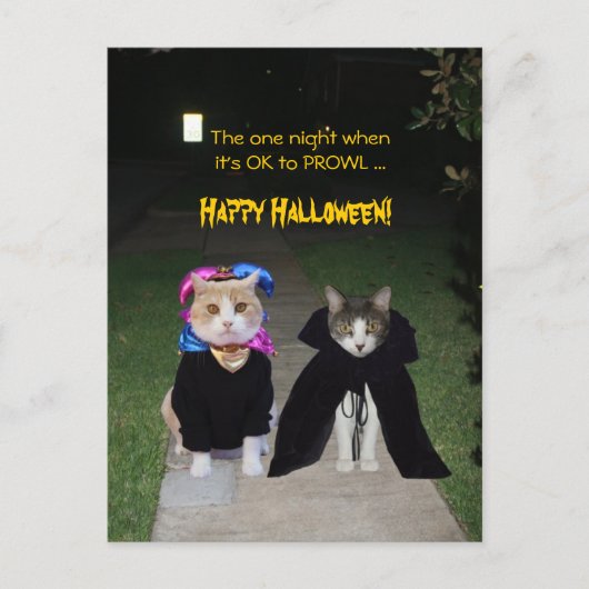 Eine Nacht ist es OK, PROWL Postkarte (Vorderseite)