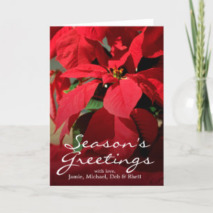Eine Nahaufnahme einer Poinsettias Feiertagskarte