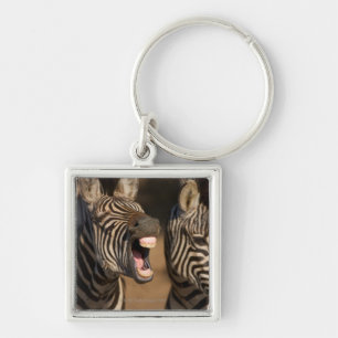 Eine Nahaufnahme eines Zebra, der seine Zähne Schlüsselanhänger