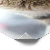 Eine Nahe Katze auf einem Fenster Poster (Ecke)