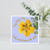 Eine nasturtium Blume für den Muttertag Karte (Stehend Vorderseite)