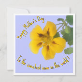 Eine nasturtium Blume für den Muttertag Karte (Vorderseite)