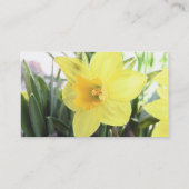 Eine nette gelbe Narzisse Visitenkarte (Rückseite)