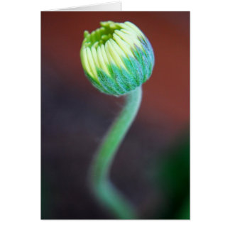 Eine neue Jahreszeit