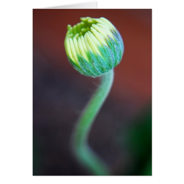 Eine neue Jahreszeit (Vorne)