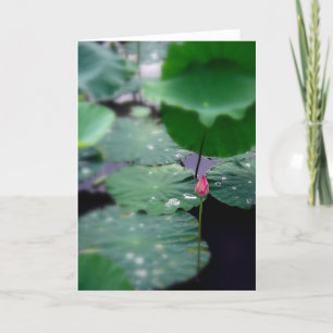 Eine neue Morgendämmerung Feiertagskarte