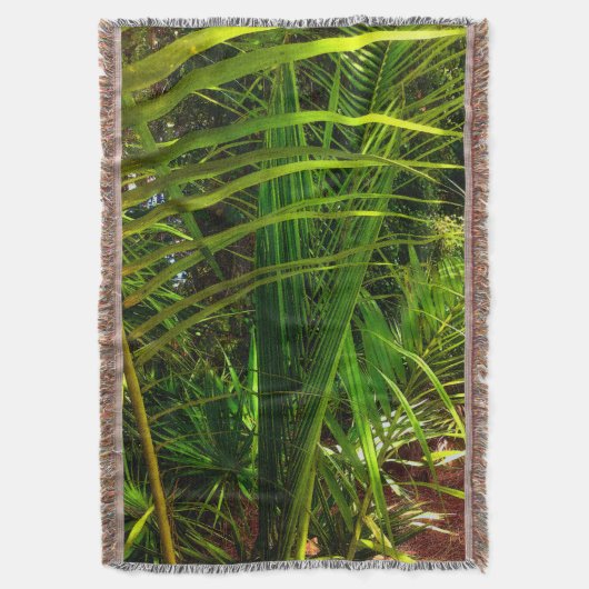 Eine neue Palmfront Decke (Vorderseite Vertikal)