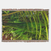 Eine neue Palmfront Decke (Vorderseite)