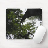Eine neue Perspektive - Bäume Mousepad (Mit Mouse)