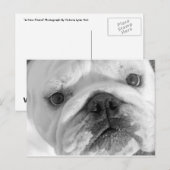 Eine neue Postkarte für Freunde (Vorne/Hinten)