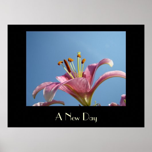 Eine neue Tageskunst druckt Rosa Calla Lily Blume Poster (Vorne)